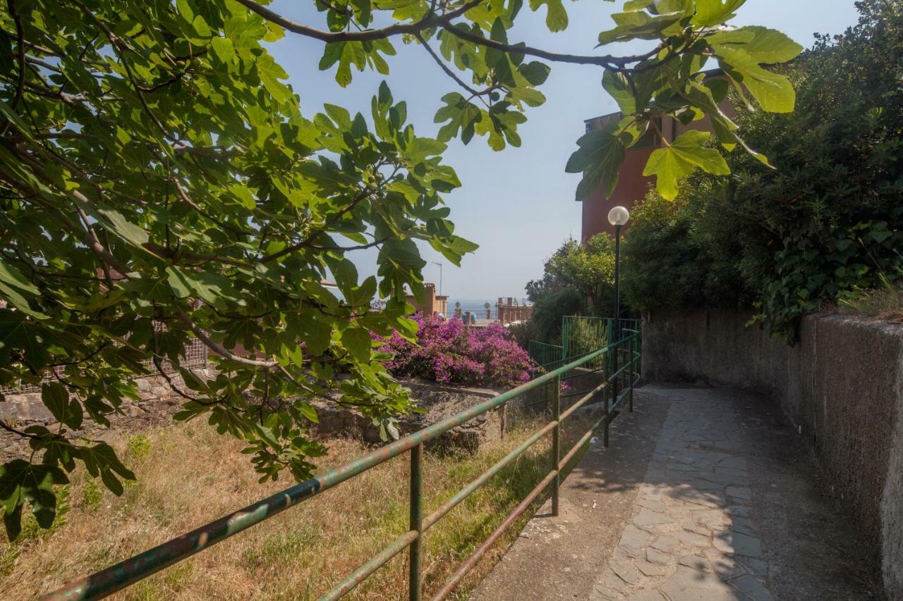 Apartment Il Geco *